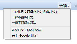 翻译栏选项