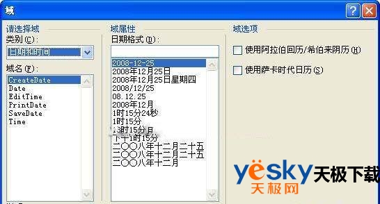 图2 Word 2007插入域