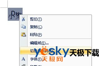 切换域代码