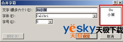 预览