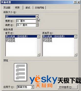 “纸张”选项卡