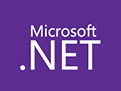 .NET Framework 4.6.2