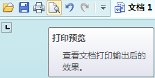 打印预览