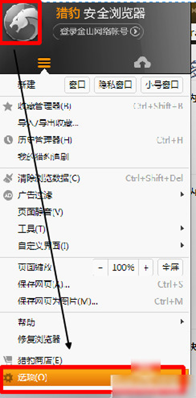 猎豹浏览器
