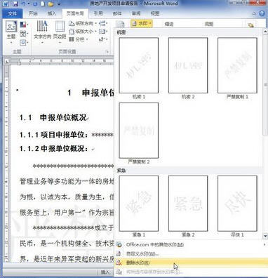 word2010添加和删除水印