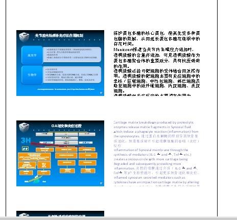ppt2010如何打印幻灯片备注