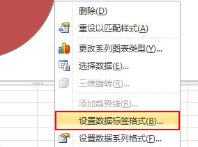 设置数据标签格式