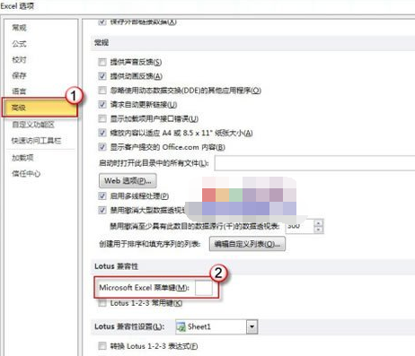 在Microsoft Excel菜单键(M)