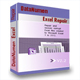 DataNumen Excel Repairv2.2ٷʽ