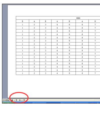 Excel2003中设置成打印为一张的操作方法