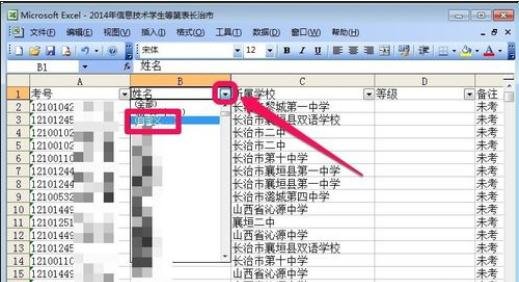 excel2003数据筛选的使用教程