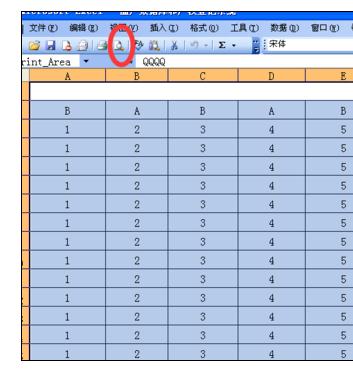 Excel2003中设置成打印为一张的操作方法