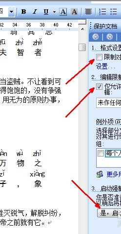 怎么设置word2003文档保护