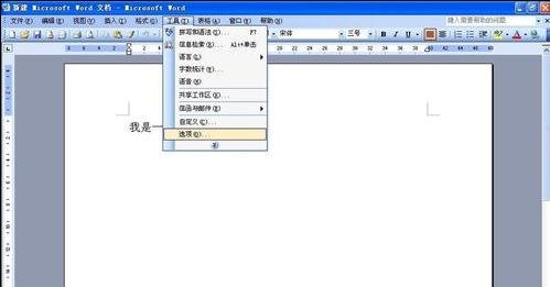 Word 2003中如何设置为“只读