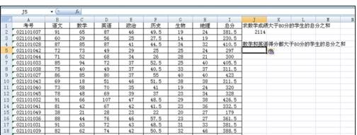 excel2003条件求和的函数使用方法