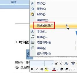怎么放大word中的带圈字