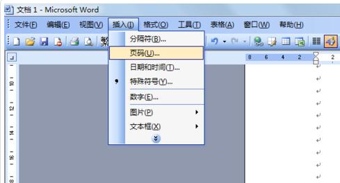 word2003ĵҳ