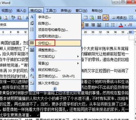 Word怎么将文档进行分栏查看