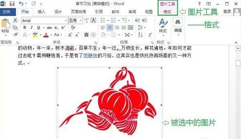 Word2013怎么设置图片的文字环绕方式