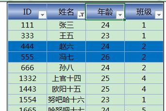 Excel2013中进行颜色筛选的操作方法