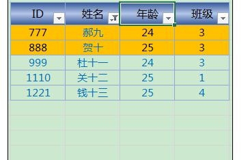 Excel2013中进行颜色筛选的操作方法