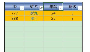 Excel2013中进行颜色筛选的操作方法