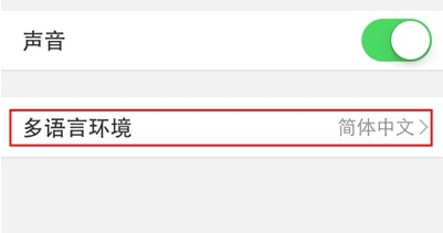 点击进入来到通用设置一栏,然后在其下方找到【多语言环境】
