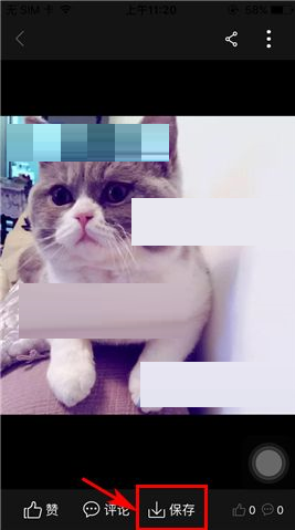 2.png