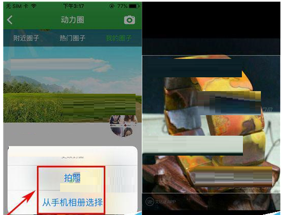 健康猫app怎么修改动力圈里的封面?3