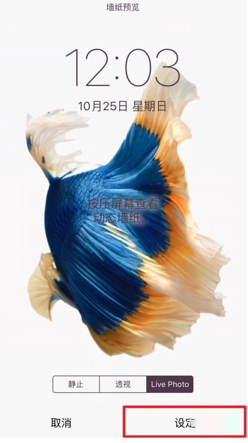 怎么设置iPhone7Live动态壁纸