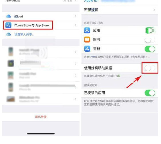 苹果iPhone X设置禁止流量更新应用的图文教程