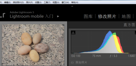 怎么更改lightroom面板字体大小