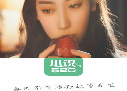 小说520怎么听书
