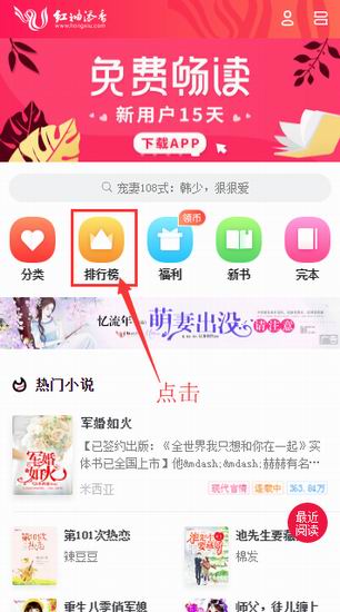 红袖添香小说排行榜