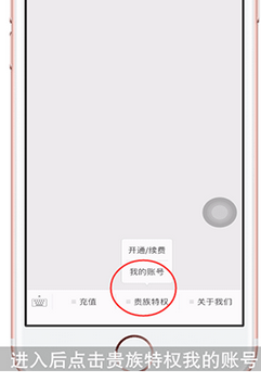 Y币
