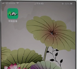 熊猫直播