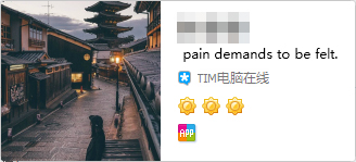 TIM电脑在线怎么办到的？QQ好友怎么设置显示？