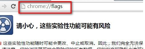 chrome浏览器打开chrome://flahs设置