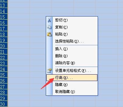 Excel2007ͳһи