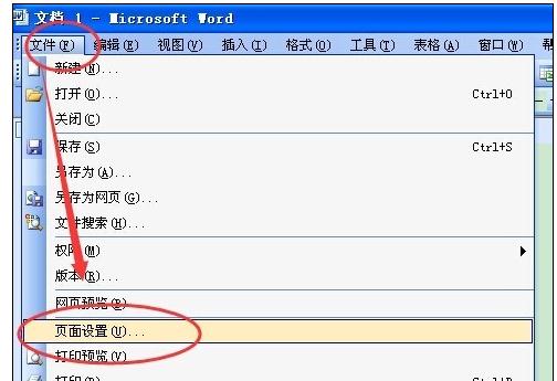 Word2003汾ҳΪĲ