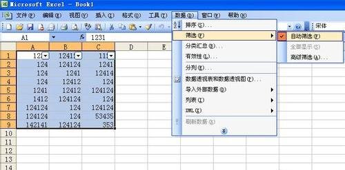 excel2003Զɸѡʹ÷_excel2003ôԶɸѡ