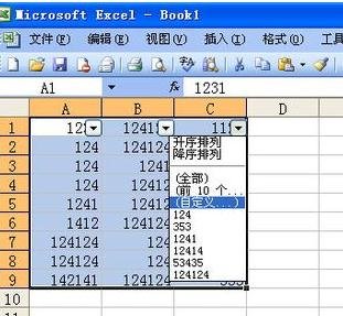excel2003Զɸѡʹ÷_excel2003ôԶɸѡ