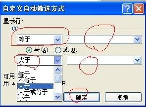 excel2003ɸѡ̳