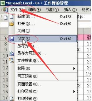 excel2003뱣ý̳