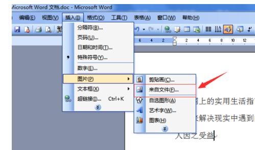 word2003ͼƬô