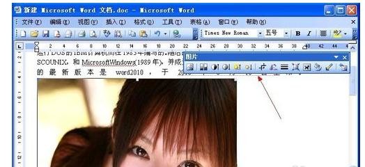 Word 2003ôͻͼƬ