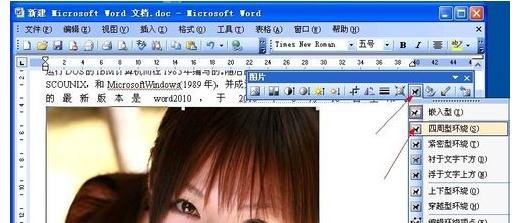 Word 2003ôͻͼƬ