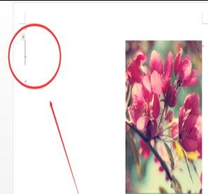 Word2013Чַ