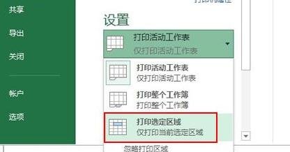 Excel2013ôֻӡѡ_Excel2013ֻӡѡķ