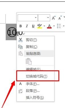 word2013Ȧ100